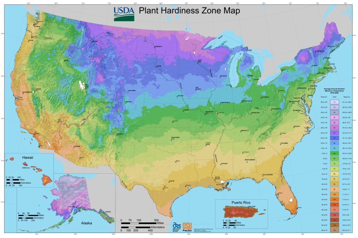 USA Plant Hardiness Zones