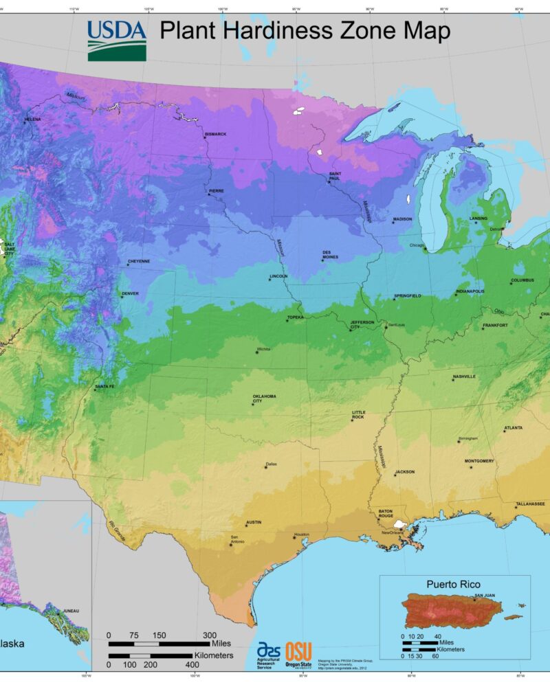 USA Plant Hardiness Zones